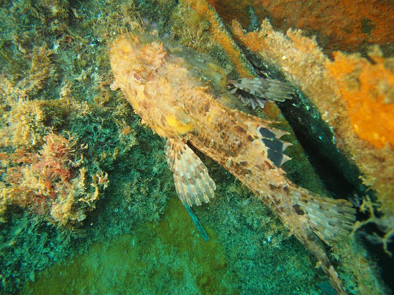 2013-06-10 12-01-55 Mary.JPG